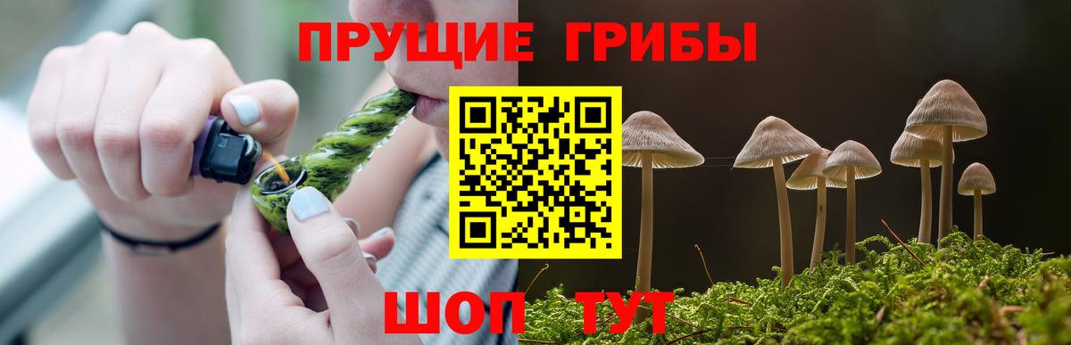 Псилоцибиновые грибы ЛСД  Вход с VPN  Борзя  Псилоцибиновые грибы Psilocybe 